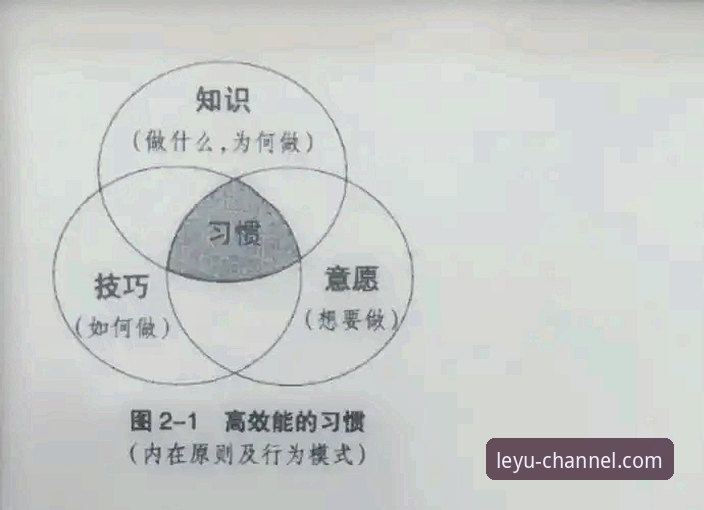 深度揭秘：乐鱼app官网直连使用技巧背后的高效体验密码